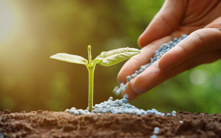 5 Different Types of Fertilizers and How to Choose the Right One