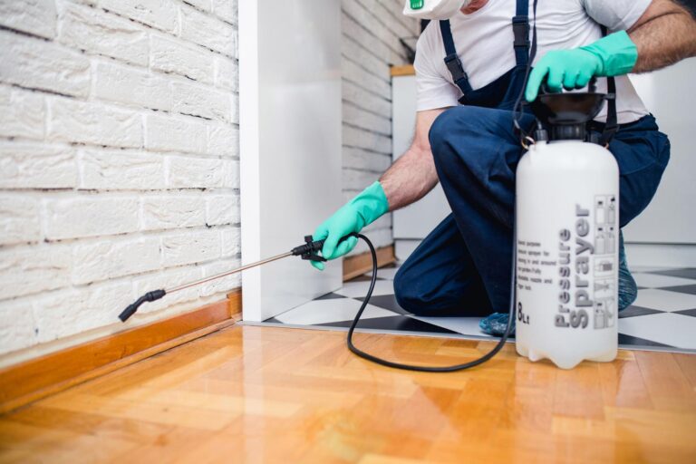 How Long Does It Take For Pest Control – 2023 Guide